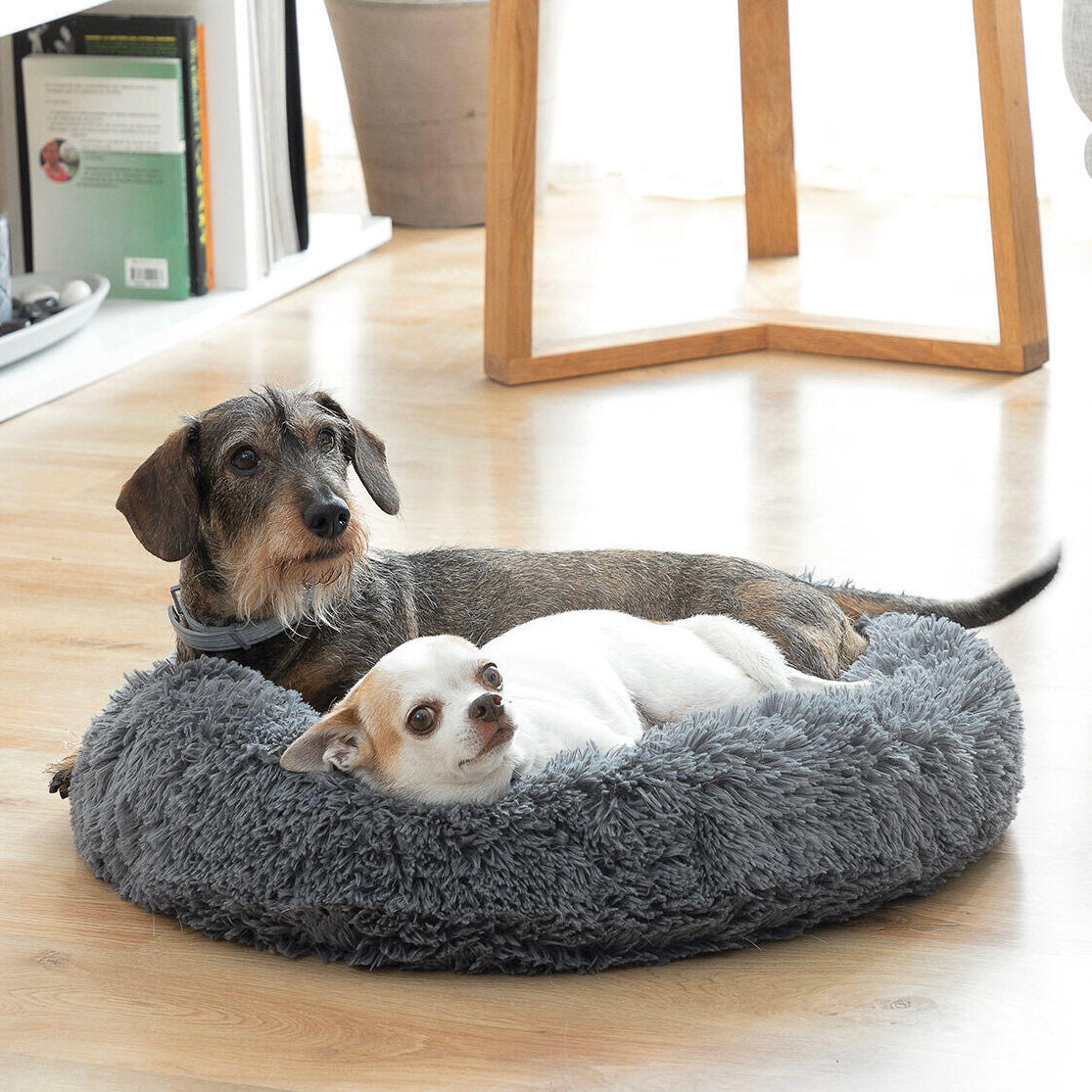 Desestrés, relajación y descanso como nunca para tu mascota