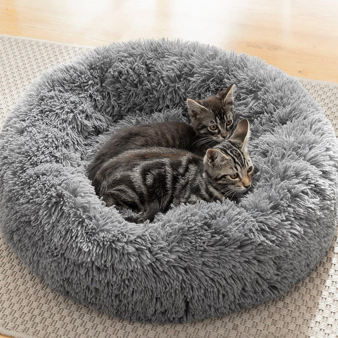 Desestrés, relajación y descanso como nunca para tu mascota