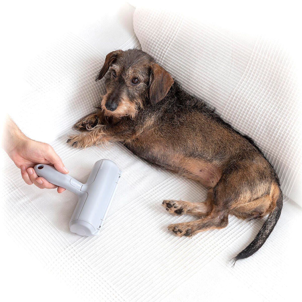 Elimina eficazmente pelos y pelusas de mascotas sin pilas ni recambios