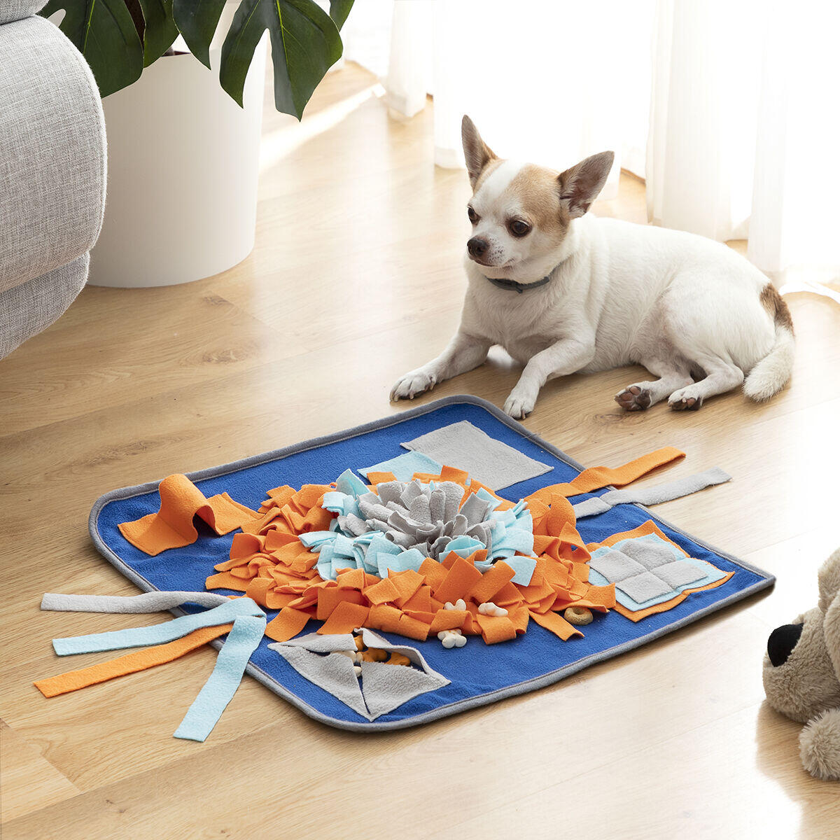 Entrena y entretén a tu mascota mientras come de forma saludable y divertida