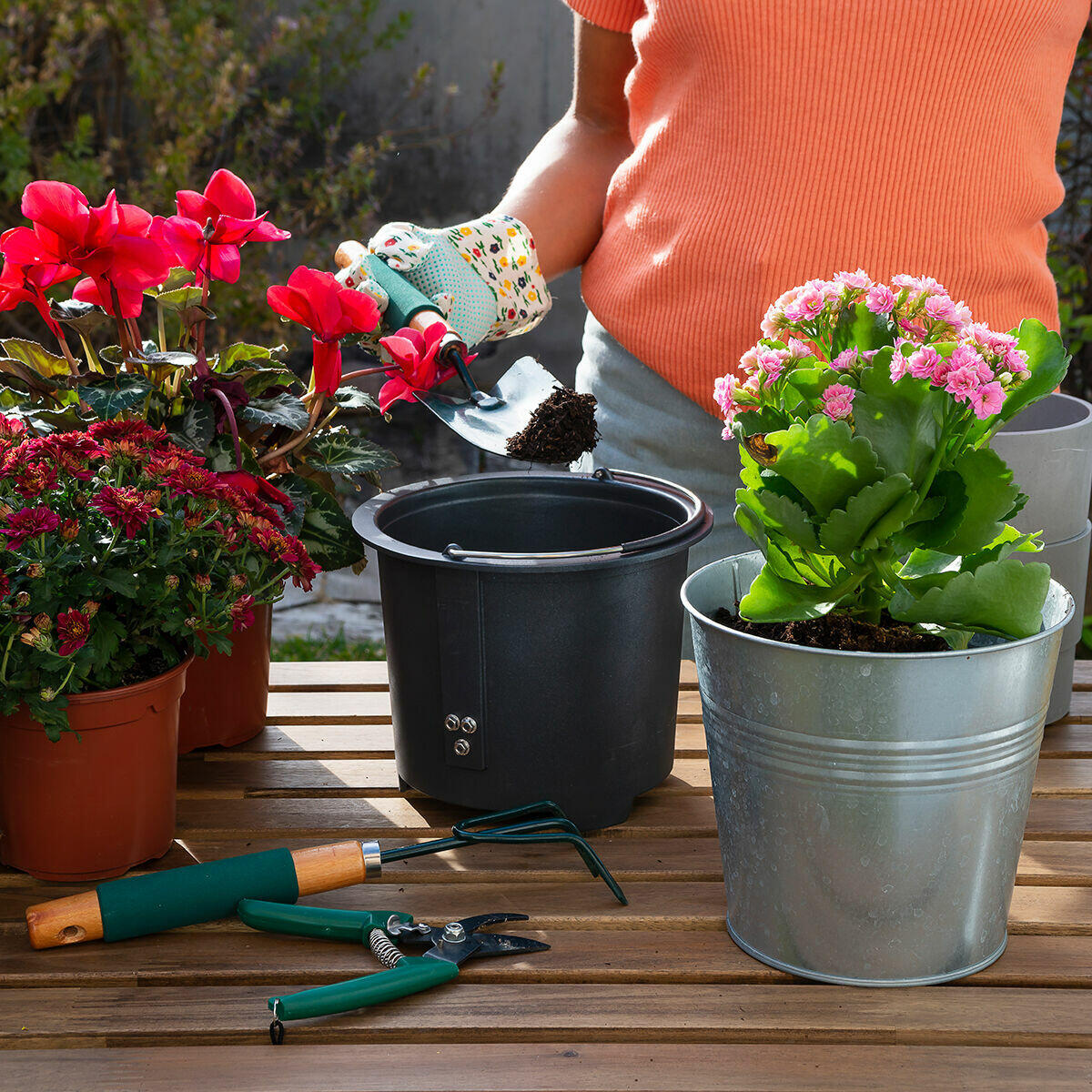 Convierte tus residuos en abono natural ecológico, fácil, rápido y sin olores para tus plantas