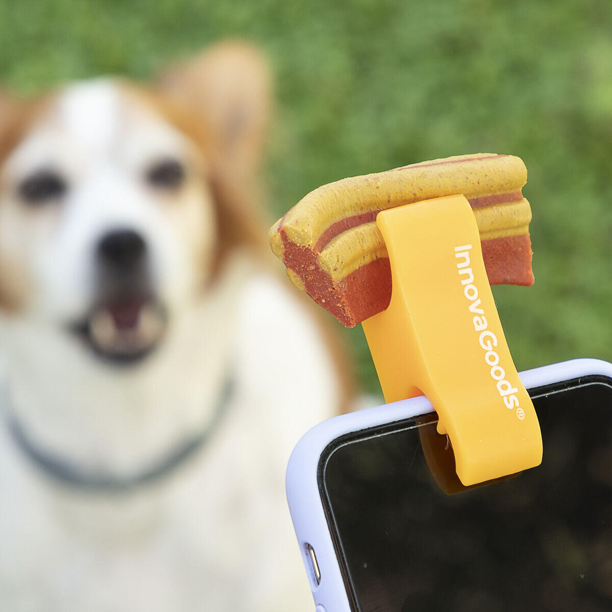 Captura la atención de tus mascotas y consigue las mejores fotos con facilidad