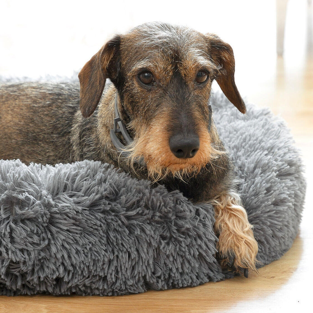 Desestrés, relajación y descanso como nunca para tu mascota