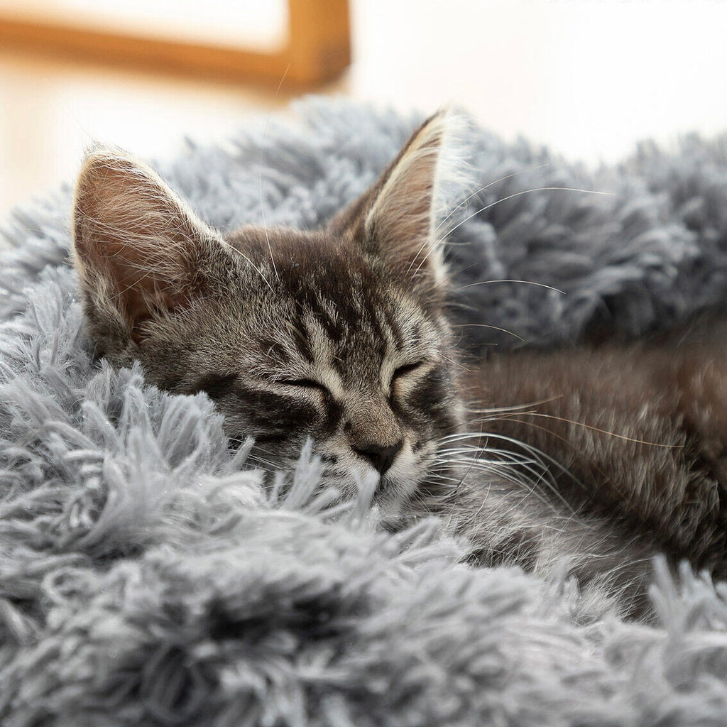 Desestrés, relajación y descanso como nunca para tu mascota
