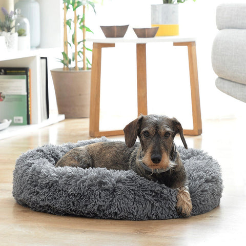 Desestrés, relajación y descanso como nunca para tu mascota