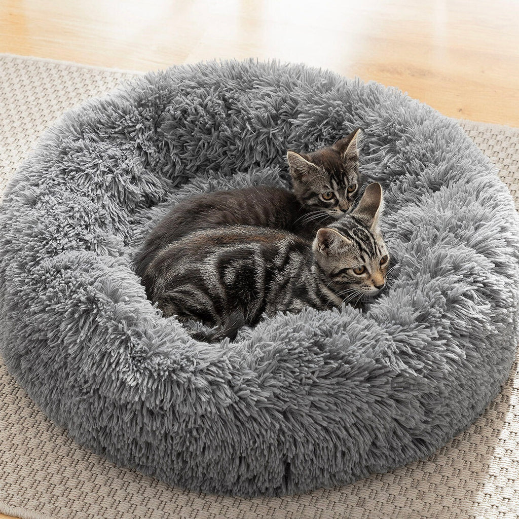 Desestrés, relajación y descanso como nunca para tu mascota