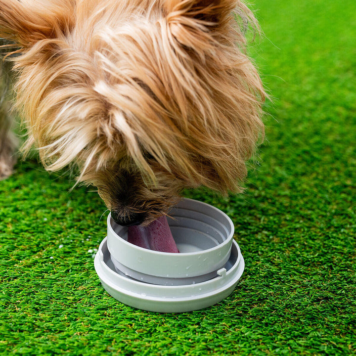 Todo para pasear a tu perro: luz, agua, comida, bolsas y control fácil