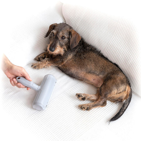 Elimina eficazmente pelos y pelusas de mascotas sin pilas ni recambios