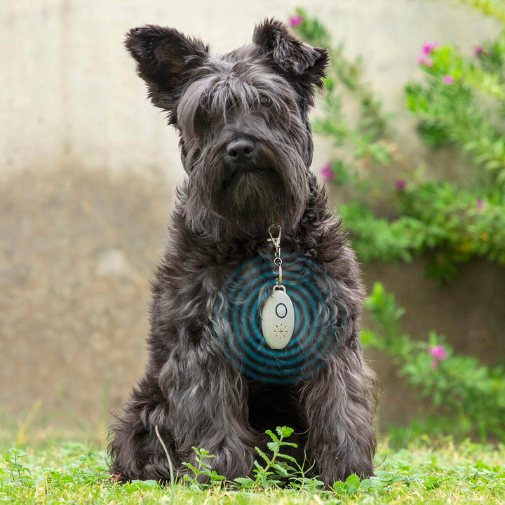 Antiparásitos por Ultrasonidos Recargable para Mascotas