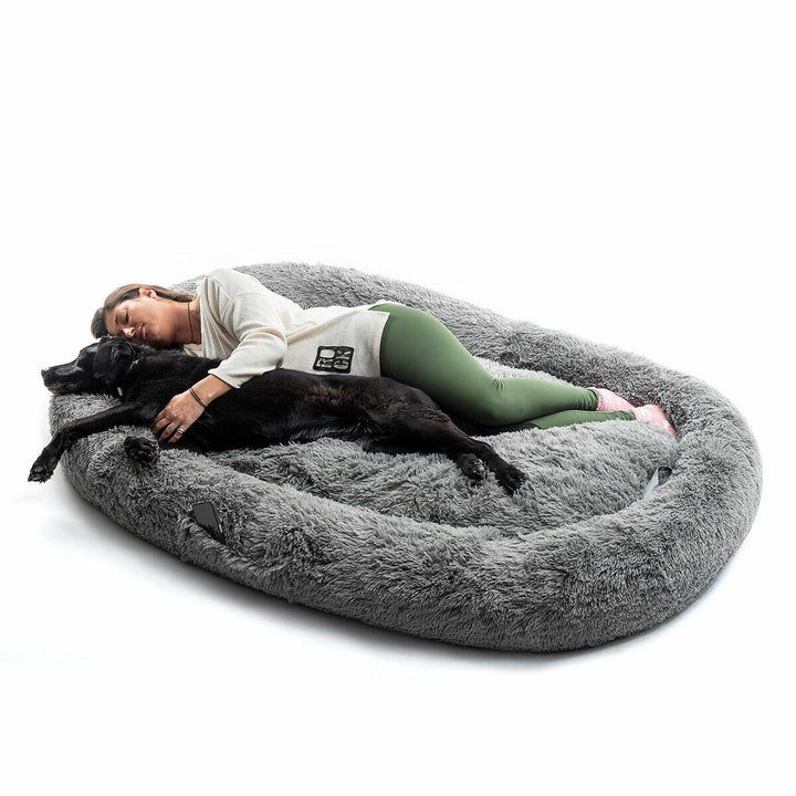 Cama de Perro para Humanos