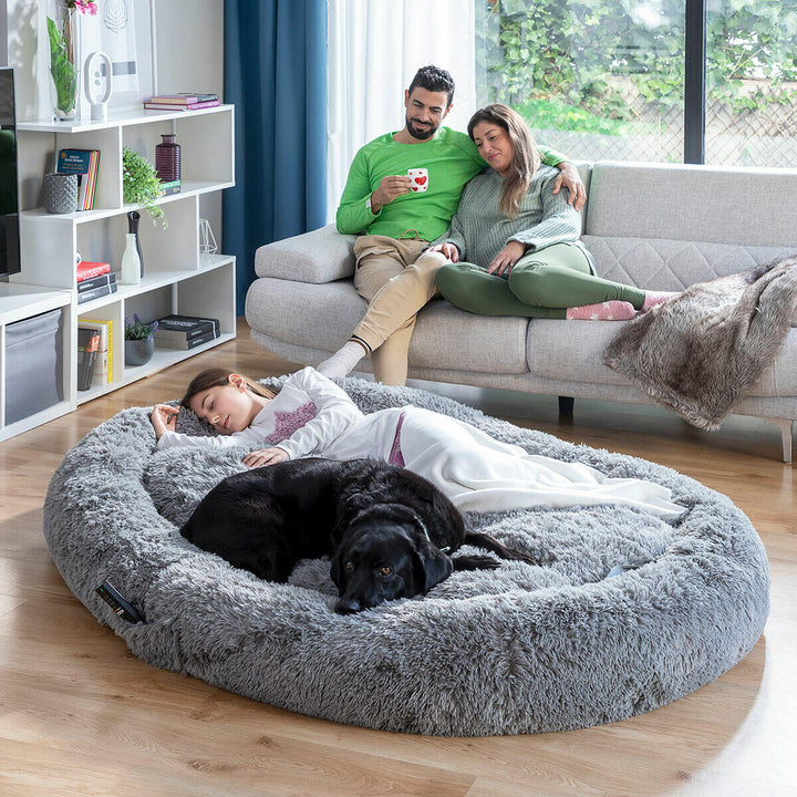 Cama de Perro para Humanos