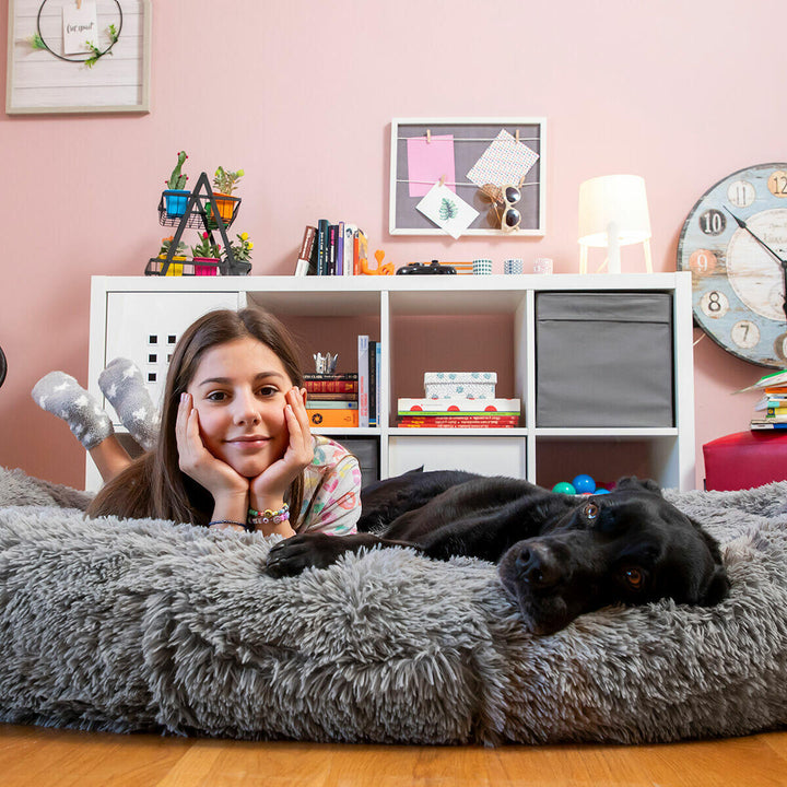 Cama de Perro para Humanos