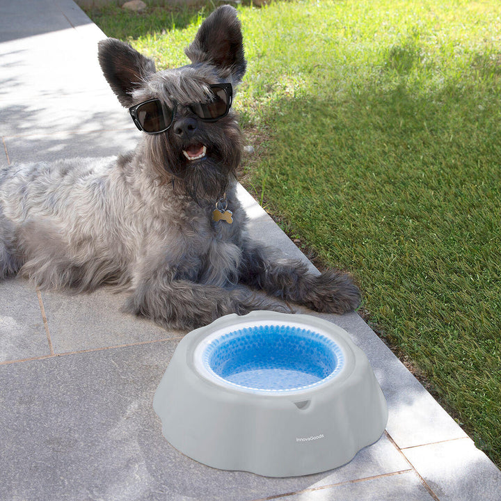 Bebedero Refrescante para Mascotas Freshty🧊