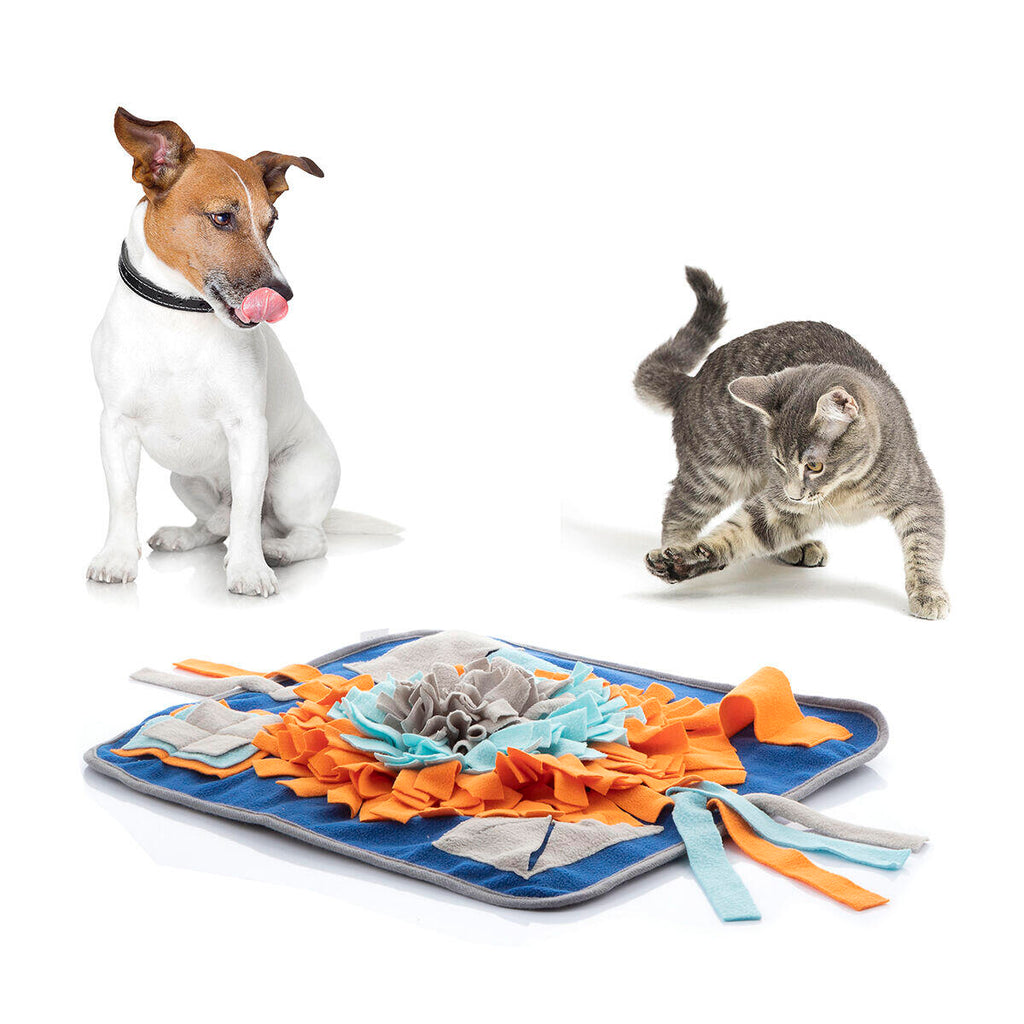Entrena y entretén a tu mascota mientras come de forma saludable y divertida