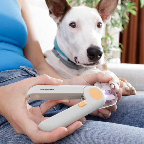 Corta las uñas de tu mascota con visibilidad total y seguridad